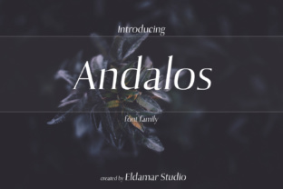 Andolas Typeface: A Handmade Font for Timeless Branding
