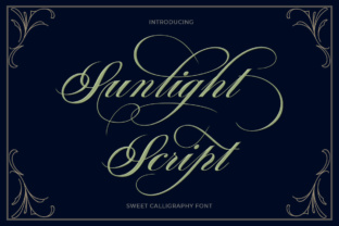 Elevate Campaign Visuals with Sunlight Script Typeface