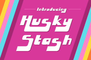 Husky Stash: A Greasy Funk Font for Bold Branding